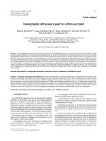 Báo cáo lâm nghiệp: 