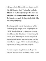 Một gen mới cho thấy sự tiến hóa của con người ppt