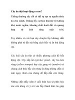 Cây ăn thịt hoạt động ra sao? pdf