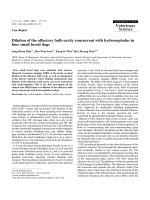 Báo cáo khoa học: 