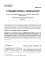 Báo cáo lâm nghiệp: