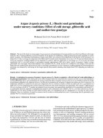 Báo cáo lâm nghiệp: 