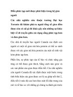 Điều phức tạp mới được phát hiện trong hệ gien người pps