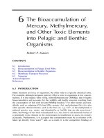 Coastal and Estuarine Risk Assessment - Chapter 6 pdf