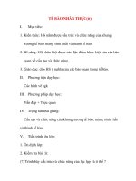 Giáo án Sinh Học lớp 10: TẾ BÀO NHÂN THỰC(Tiết 3) docx