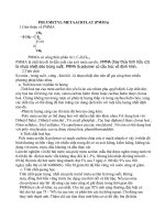 POLYMETYL-METAACRYLAT (PMMA) pdf