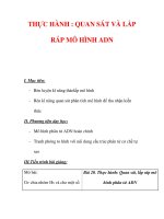 Giáo án Sinh học lớp 9 : Tên bài dạy : THỰC HÀNH : QUAN SÁT VÀ LẮP RÁP MÔ HÌNH ADN docx