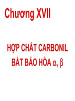 HỢP CHẤT CARBONIL BẤT BẢO HÒA α, β potx