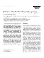 Báo cáo khoa học: 