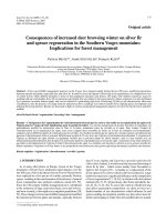 Báo cáo lâm nghiệp: 