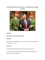 Sáng kiến kinh nghiệm môn luật lớp đại học – Định tội danh đối với tội phạm hoàn thành pot