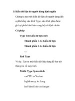 Kiểu dữ liệu do người dùng định nghĩa ppt