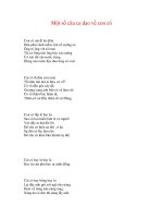 CA DAO VỀ CÁC ĐỊA DANH - TỈNH THÀNH PHỐ - 2 ppsx