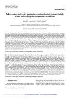 Báo cáo lâm nghiệp: 