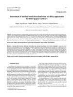 Báo cáo lâm nghiệp: 