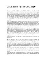 CÁCH ĐỊNH VỊ THƯƠNG HIỆU pdf