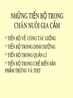 Những tiến bộ trong chăn nuôi gia cầm pot