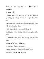 Giáo án sinh học lớp 7 - TIẾT 66 : ÔN TẬP pps