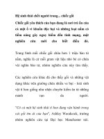 Hệ sinh thái chết người trong... chiếc gối pptx