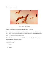 Danh từ tập hợp về động vật pdf