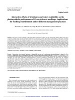 Báo cáo lâm nghiệp: 