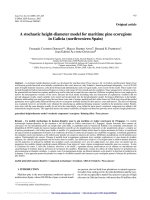 Báo cáo lâm nghiệp: 