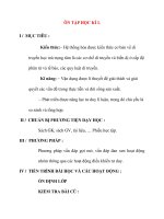 Giáo án Sinh Học lớp 12 Ban Tự Nhiên: ÔN TẬP HỌC KÌ I pps