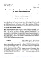 Báo cáo lâm nghiệp: 