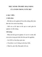 THỰC HÀNH: TÌM HIỂU HOẠT ĐỘNG CỦA ENZIM TRONG NƯỚC BỌT pot
