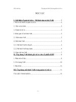 Ứng dụng mô hình var trong phân tích rủi ro