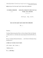 Mẫu số 5. BÁO CÁO TỔNG HỢP Ý KIẾN THÀNH VIÊN CHÍNH PHỦ pdf