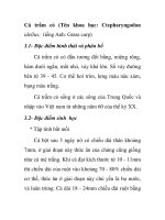 Cá trắm cỏ (Tên khoa học: Ctepharyngodon idellus; tiếng Anh: Grass carp) pptx