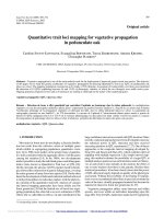 Báo cáo lâm nghiệp: 