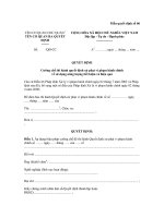 Mẫu quyết định số 05: Quyết định xử phạt vi phạm hành chính về sử dụng năng lượng tiết kiệm và hiệu quả pps