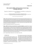 Báo cáo lâm nghiệp: