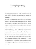 Cá lòng tong một nắng potx