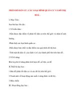 Giáo án Địa Lý lớp 10: PHÂN BỐ DÂN CƯ .CÁC LOẠI HÌNH QUẦN CƯ VÀ ĐÔ THỊ HOÁ docx