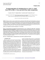 Báo cáo lâm nghiệp: 