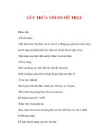 Giáo án Giải tích 12 ban tự nhiên : Tên bài dạy : LŨY THỪA VỚI SỐ MŨ THỰC ppt