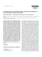 Báo cáo khoa học: 