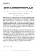 Báo cáo lâm nghiệp: 