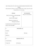 MẪU TỜ KHAI YÊU CẦU CẤP/CẤP LẠI THẺ GIÁM ĐỊNH VIÊN SỞ HỮU CÔNG NGHIỆP ppt