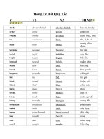 Động Từ Bất Quy Tắc V pps