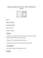 Sáng kiến kinh nghiệm môn mỹ thuật lớp 5 – bài học vẽ khối hình hộp và khối cầu pdf