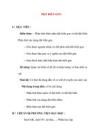 Giáo án Sinh Học lớp 12 Ban Tự Nhiên: ĐỘT BIẾN GEN pot