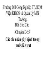 Chuyên đề : Các tác nhân gây bệnh trong nước là virut ppt