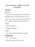 Giáo án môn sinh lớp 6 - Tiết 26: CÂY CÓ HÔ HẤP KHÔNG? pot