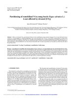 Báo cáo lâm nghiệp: 