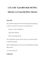 CÁC GÓC TẠO BỞI MỘT ĐƯỜNG THẲNG CẮT HAI ĐƯỜNG THẲNG pdf