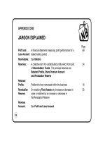 THE BALANCE SHEET POCKET BOOK phần 10 pptx